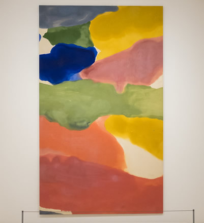 Helen Frankenthaler - foto 3